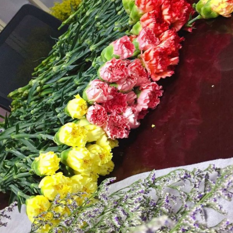 春风十里，芳华如你  -庆祝“三八”国际劳动妇女节